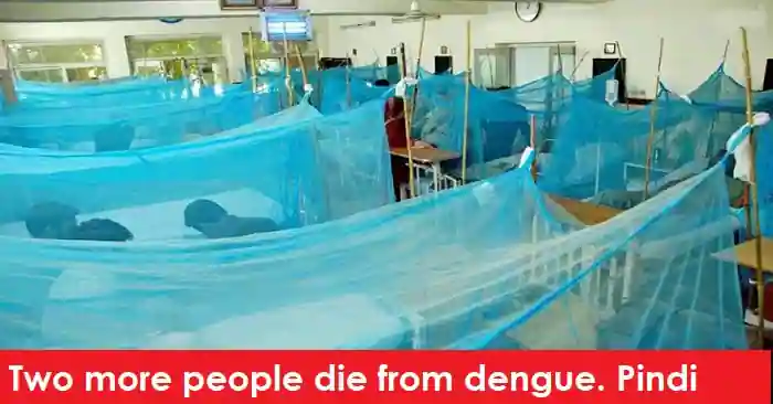 Dengue kills two more individuals. Pindi
