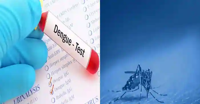 Mostly Dengue Cases Report in Rawalpindi and Lahore Outbreak, according to the Dengue Portal