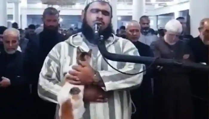 Video of the Cute Cat Interrupted by the Imam During Taraweeh Prayer Goes Viral